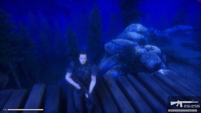 Infiltration: Alone in Combat 2