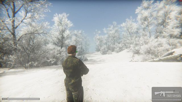 Infiltration: Alone in Combat 6