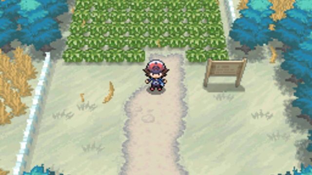 Pokémon Black Version 5
