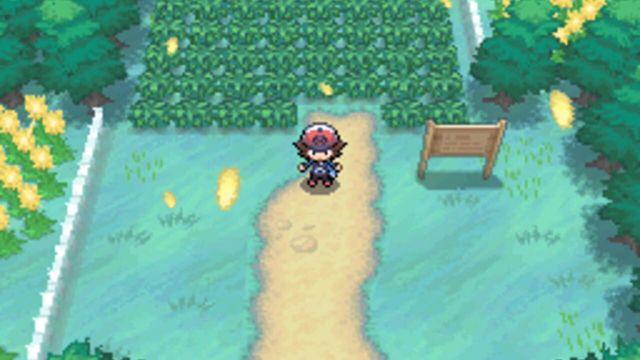 Pokémon Black Version 6