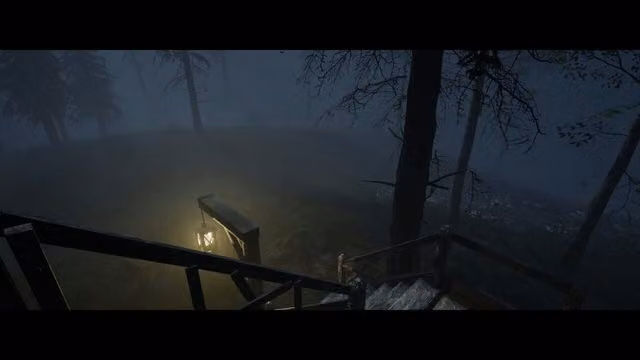 Nightwalker 2 5