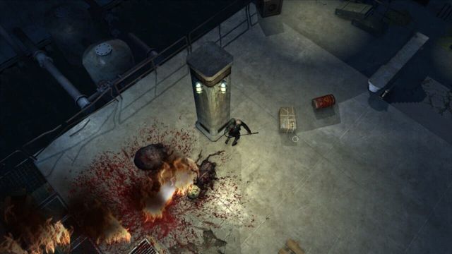 Primal Fears 5