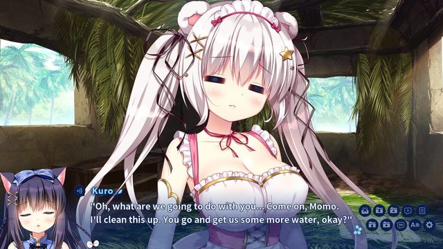 Island Diary 2