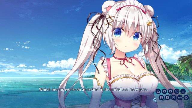 Island Diary 4