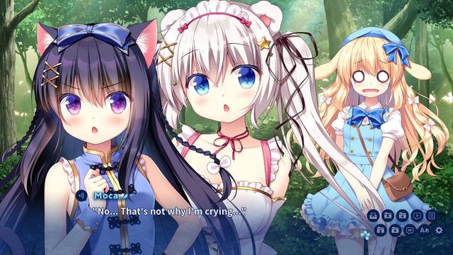 Island Diary 6
