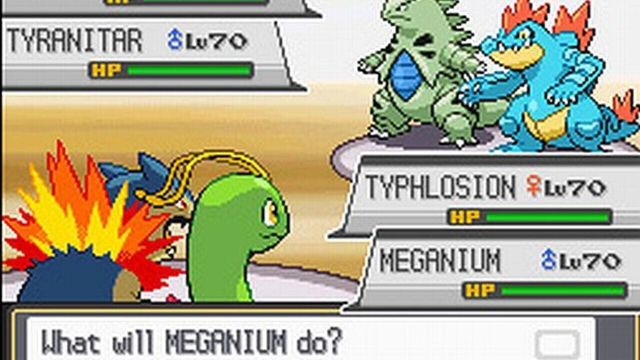 Pokémon HeartGold Version 4