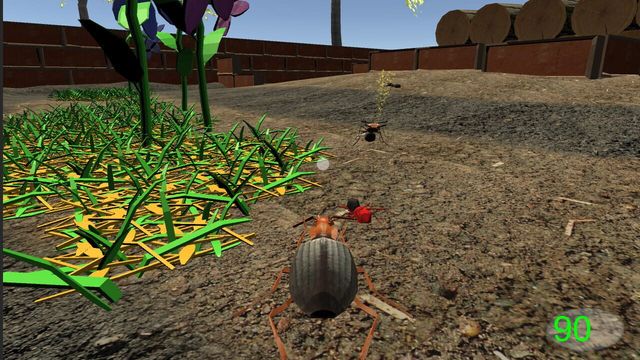 Insect: Bombardier beetle 1