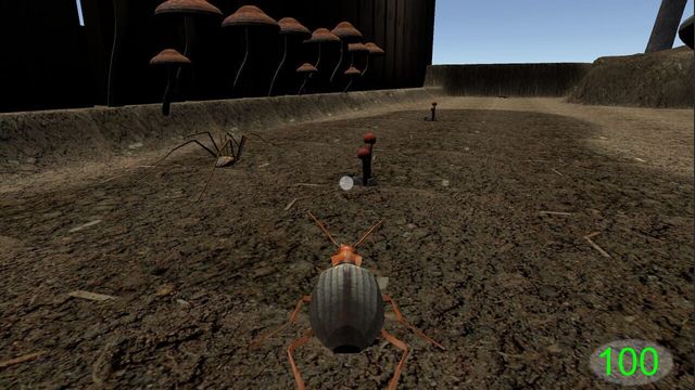 Insect: Bombardier beetle 2