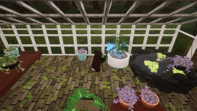 Bunhouse 4