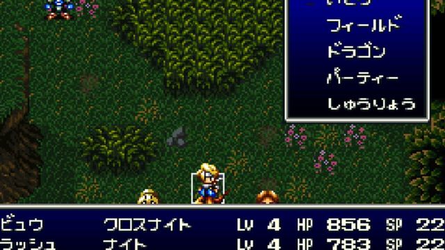 Bahamut Lagoon 6