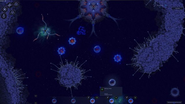Microcosmum 2 1