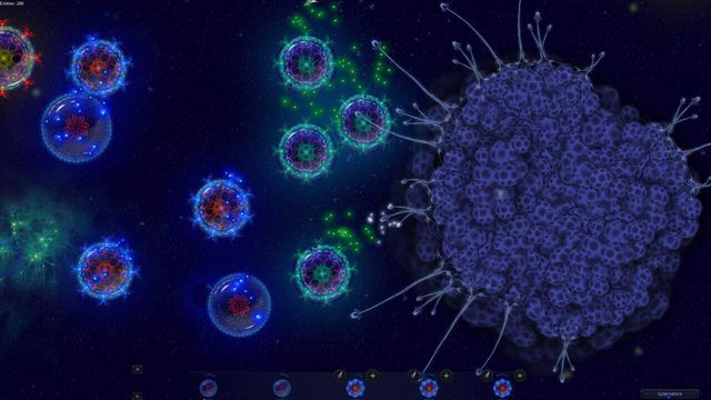 Microcosmum 2 3