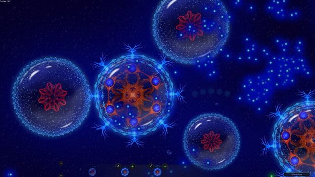 Microcosmum 2 4