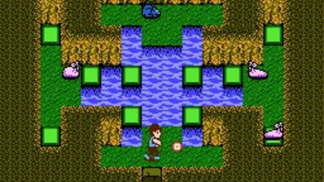 StarTropics 5