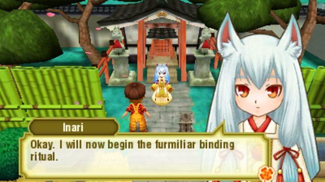 Story of Seasons: Trio of Towns 6