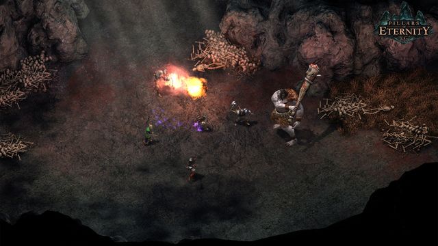 Pillars of Eternity 6