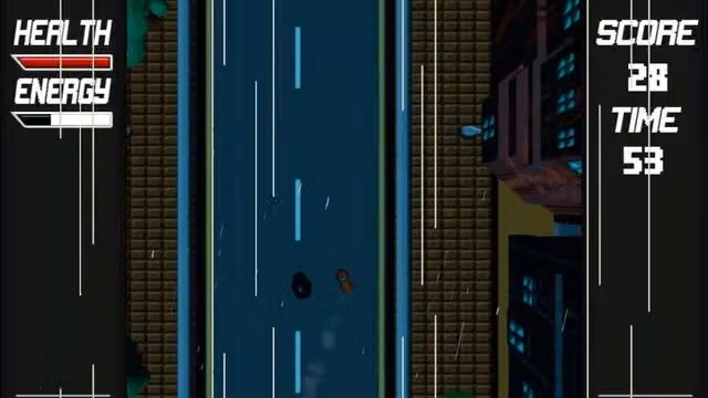 Road Flash 5