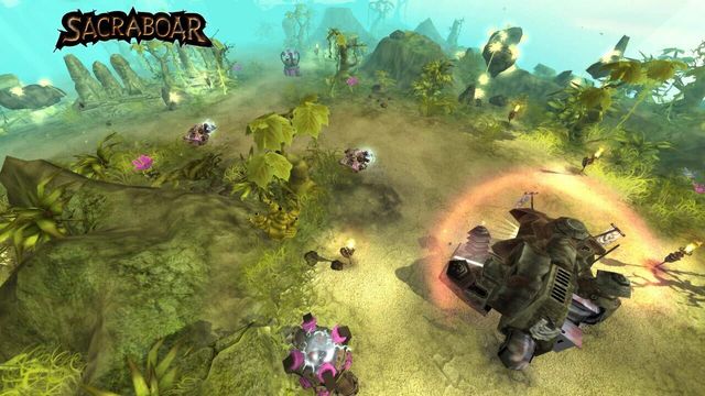 Sacraboar 1