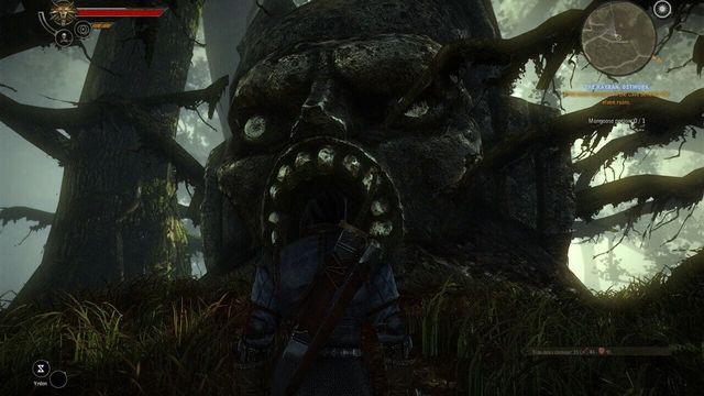 The Witcher 2: Assassins of Kings - Collector's Edition 3