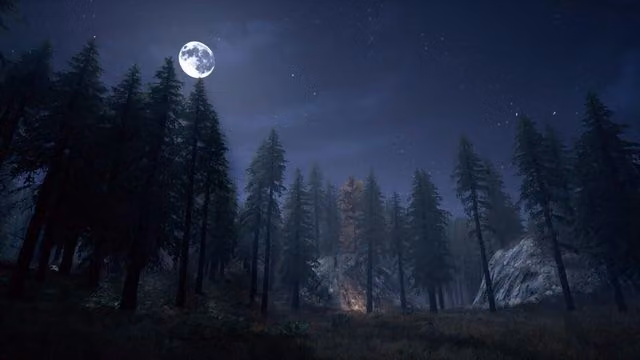 Nightwalker 5