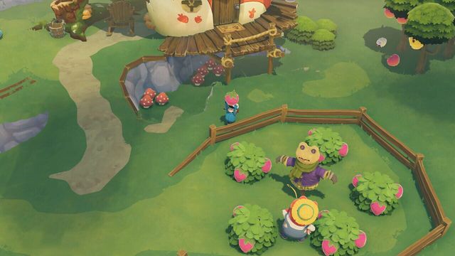 Time on Frog Island 6
