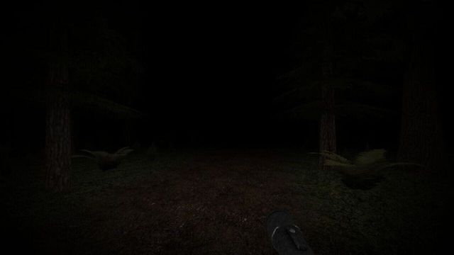 Slender's Woods 5