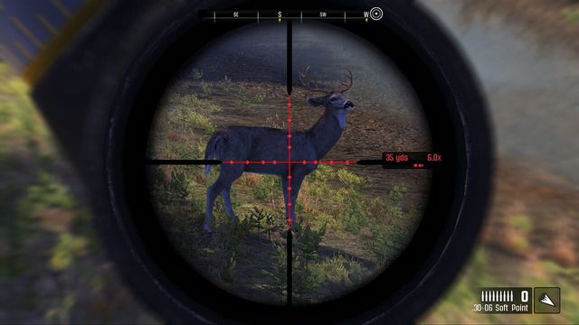 Cabela's Big Game Hunter: Pro Hunts 2