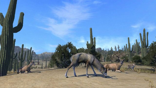 Cabela's Big Game Hunter: Pro Hunts 3