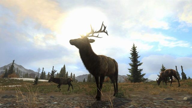 Cabela's Big Game Hunter: Pro Hunts 5