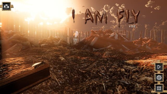 I Am Fly 1