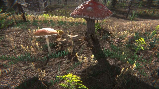Mushroom Challenge 3