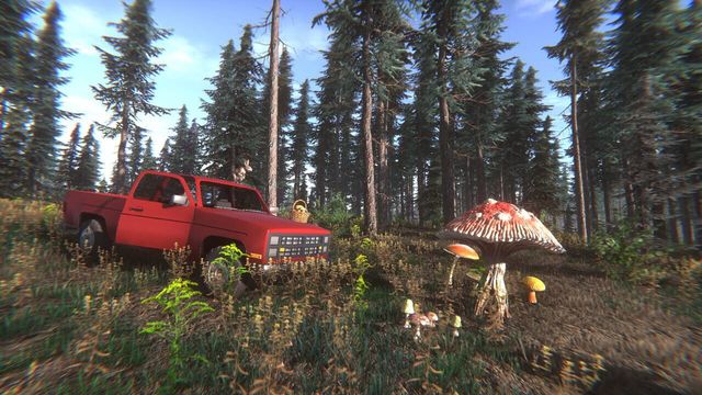 Mushroom Challenge 5