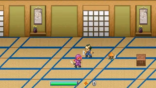 Ninja Kunoichi 3