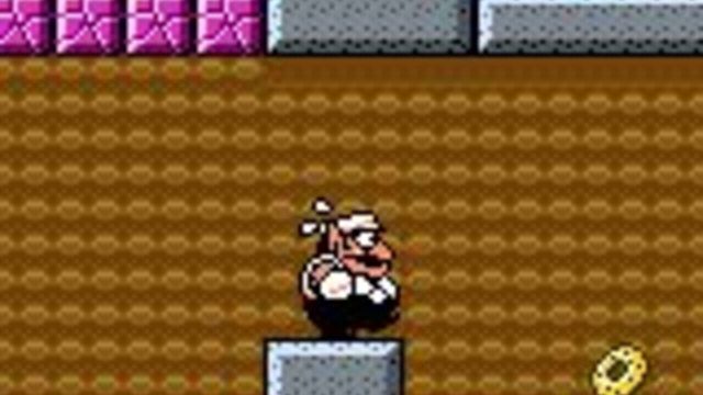 Wario Land 3 5