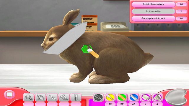 My Vet Practice: In the Country 2