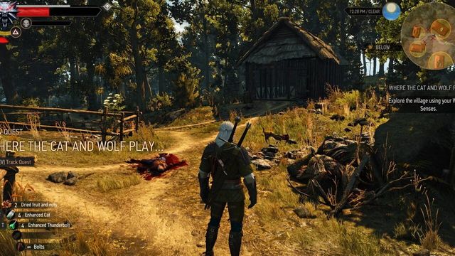 The Witcher 3: Wild Hunt - New Quest 'Where the Cat and Wolf Play...' 2