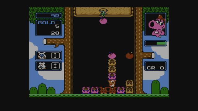 Wario's Woods 5