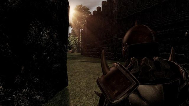 Mortal Online 5