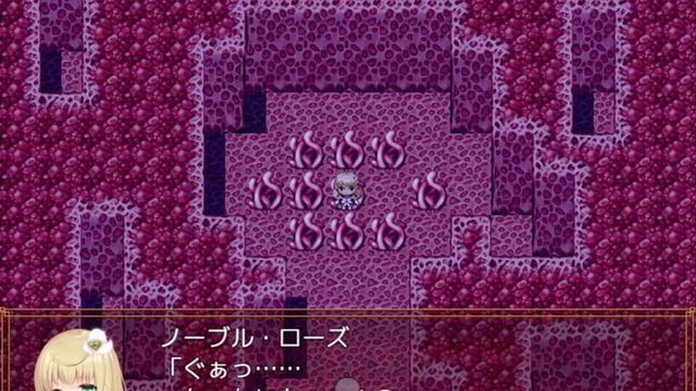 Magical Girl Noble Rose 3