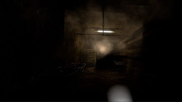 Mental Hospital: Child of Evil 2