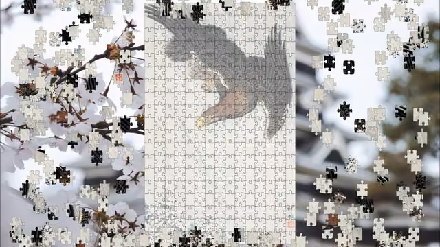 Pieces of Beauty 3