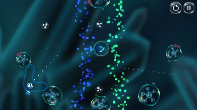 Cyto 2