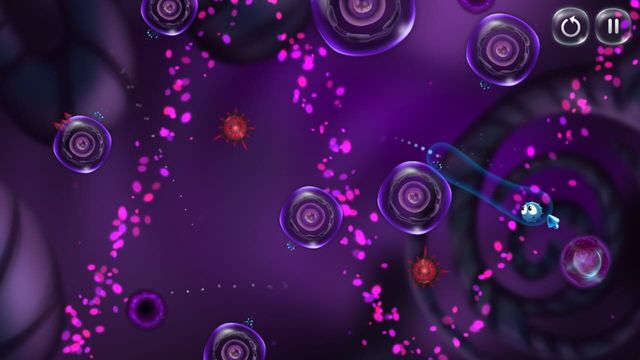 Cyto 3