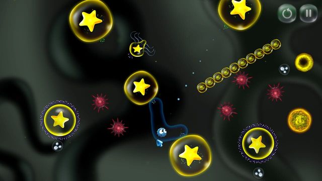 Cyto 4