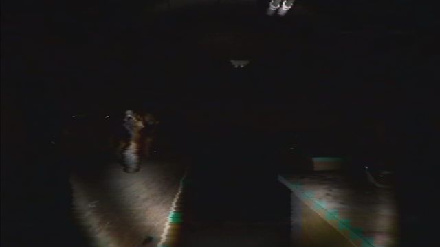 Midnight Shift 4