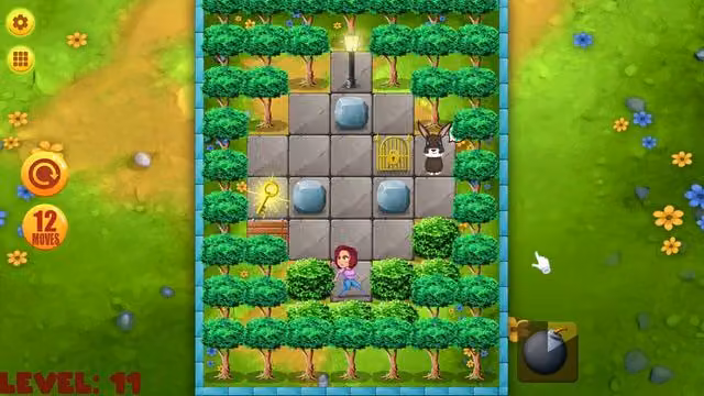 Push Puzzle: Rescue Adventure 5