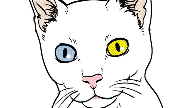 Cat Simulator 1