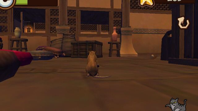 Cat Simulator 5