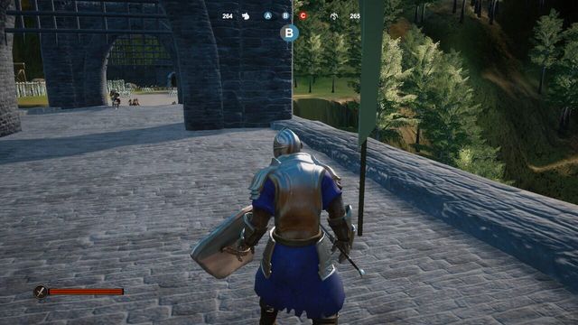 Medieval Arms 6