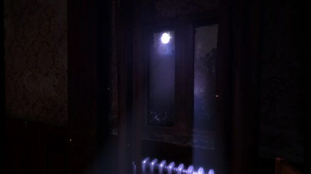 The Guest 4